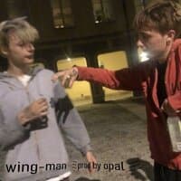 Wing-man