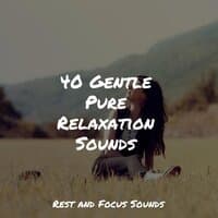 40 Gentle Pure Relaxation Sounds