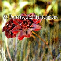 55 Portrayed Enlightenment