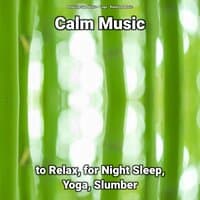 Calm Music to Relax, for Night Sleep, Yoga, Slumber