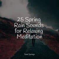 25 Spring Rain Sounds for Relaxing Meditation