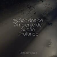 35 Sonidos de Ambiente de Sueño Profundo