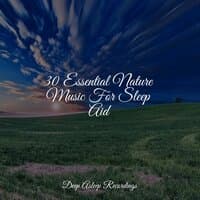 30 Essential Nature Music For Sleep Aid