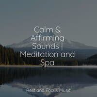 Calm & Affirming Sounds | Meditation and Spa