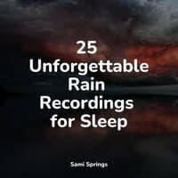 25 Unforgettable Rain Recordings for Sleep