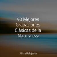 40 Mejores Grabaciones Clásicas de la Naturaleza