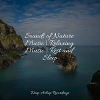 Sounds of Nature Music | Relaxing Music | Rest and Sleep