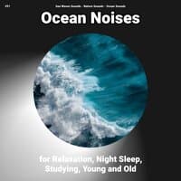 #01 Ocean Noises for Relaxation, Night Sleep, Studying, Young and Old