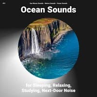 #01 Ocean Sounds for Sleeping, Relaxing, Studying, Next-Door Noise