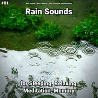 #01 Rain Sounds for Sleeping, Relaxing, Meditation, Memory