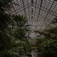 Mindful Sounds | Meditation and Sleep