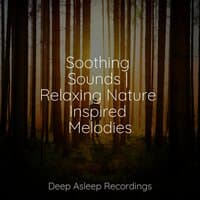 Soothing Sounds | Relaxing Nature Inspired Melodies