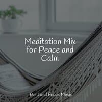 Meditation Mix for Peace and Calm