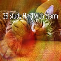 38 Study Hard With Storm