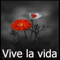 Vive la vida