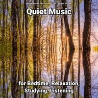 Quiet Music for Bedtime, Relaxation, Studying, Listening