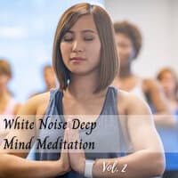 White Noise Deep Mind Meditation Vol. 2