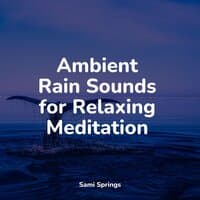 Ambient Rain Sounds for Relaxing Meditation