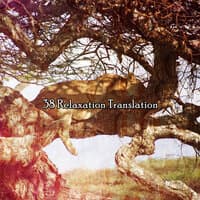 38 Relaxation Translation