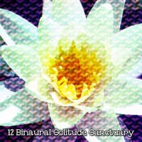 12 Binaural Solitude Sanctuary