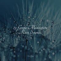 25 Gentle Meditation Rain Sounds