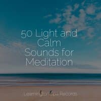 50 Light and Calm Sounds for Meditation