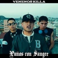 Puños Con Sangre