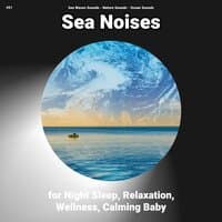 #01 Sea Noises for Night Sleep, Relaxation, Wellness, Calming Baby