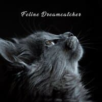 Feline Dreamcatcher