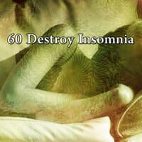 60 Destroy Insomnia