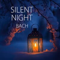 Silent Night - Bach