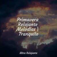 Primavera Relajante Melodías | Tranquilo