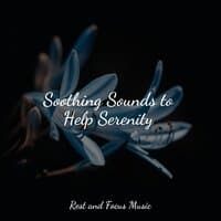 Soothing Sounds to Help Serenity