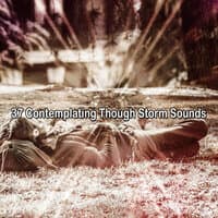 37 Contemplating Though Storm Sounds