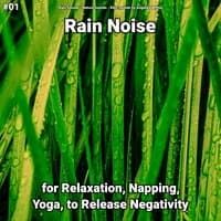 #01 Rain Noise for Relaxation, Napping, Yoga, to Release Negativity