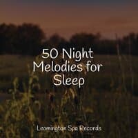 50 Night Melodies for Sleep