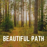 Beautiful Path