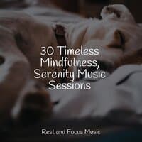 30 Timeless Mindfulness, Serenity Music Sessions