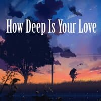 How Deep Is Your Love