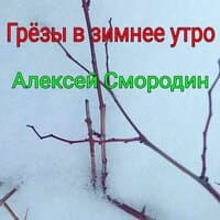 Грёзы в зимнее утро