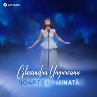 Noapte luminată