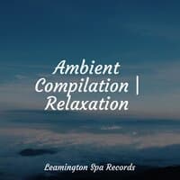 Ambient Compilation | Relaxation