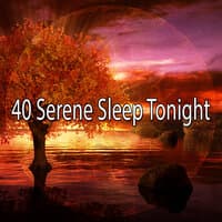 40 Serene Sleep Tonight