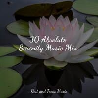 30 Absolute Serenity Music Mix