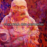 63 Natural Mind Absorbers