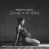 Prenatal Music: Sounds in the Womb, Baby Development