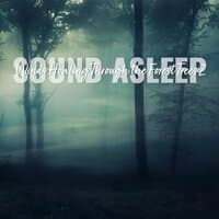 Sound Asleep: Winds Howling Through the Forest Trees 2