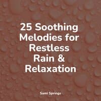 25 Soothing Melodies for Restless Rain & Relaxation