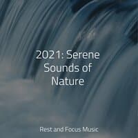 2021: Serene Sounds of Nature