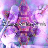 59 Serene Soothing Sounds